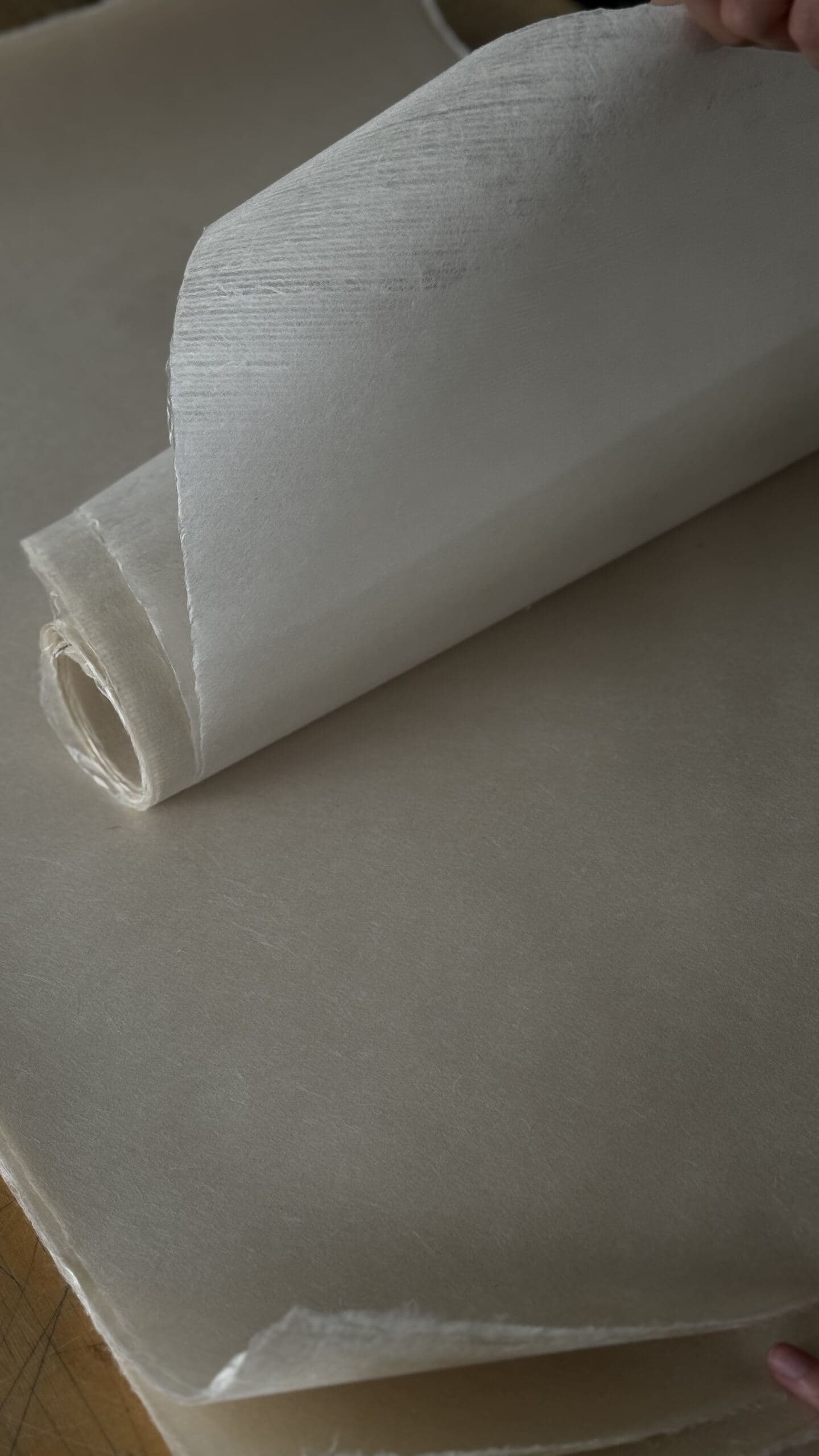 Hanji material detail 1